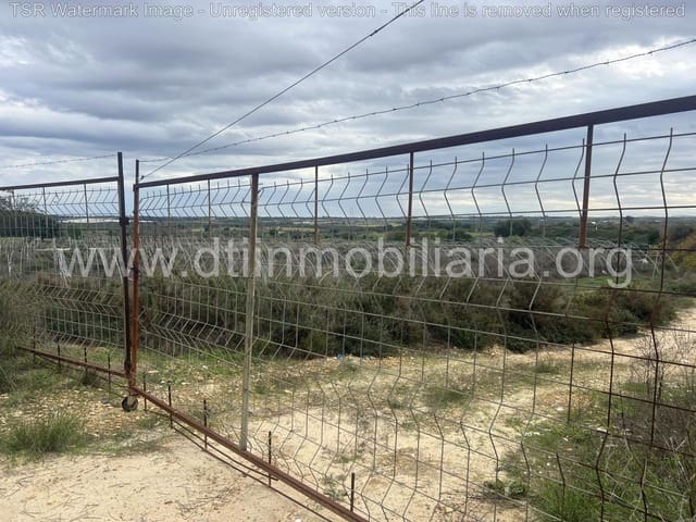 Grond te koop in Niebla - € 10.100 (Ref: 9394184)