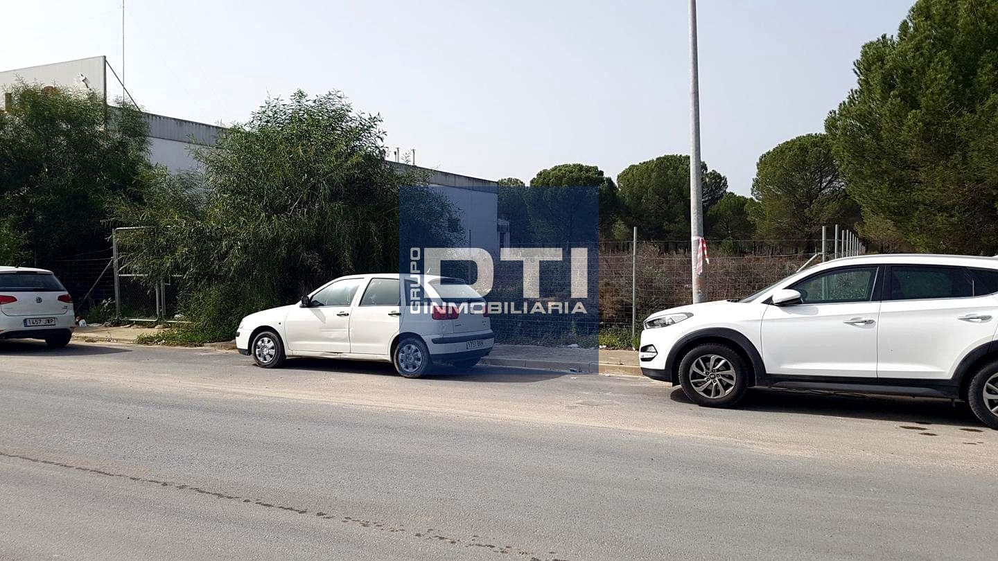 Teren niezagospodarowany na sprzedaż w Almonte - 49 500 € (Ref: 9394196)