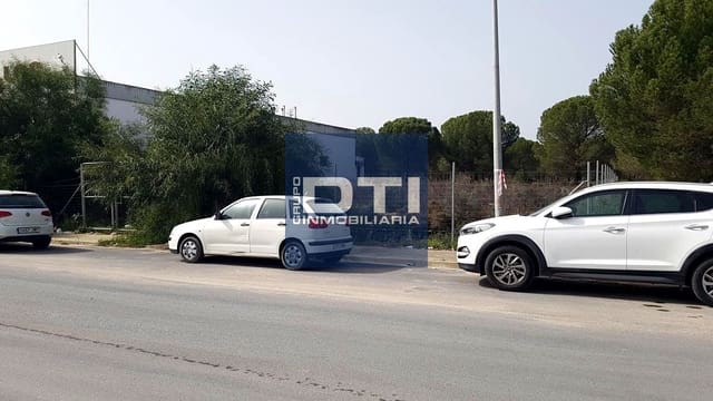 Undeveloped Land for sale in Almonte - € 49,500 (Ref: 9394196)