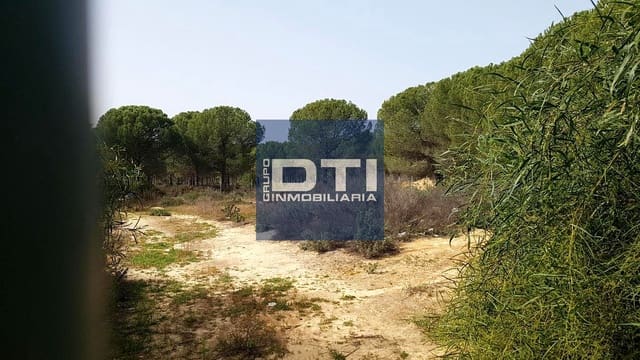 Undeveloped Land for sale in Almonte - € 49,500 (Ref: 9394196)