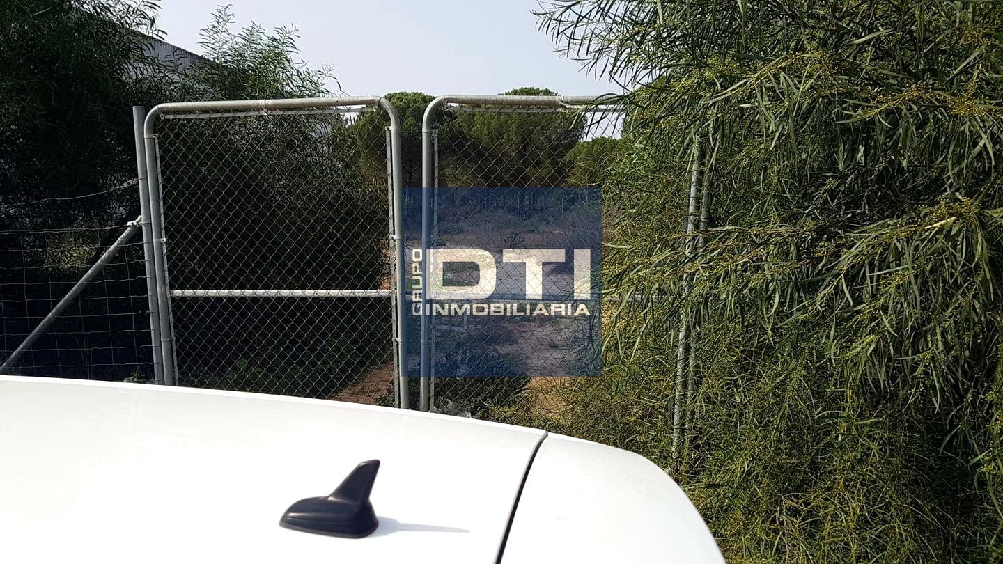 Teren niezagospodarowany na sprzedaż w Almonte - 49 500 € (Ref: 9394196)