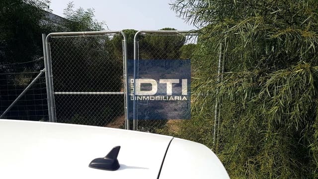 Undeveloped Land for sale in Almonte - € 49,500 (Ref: 9394196)