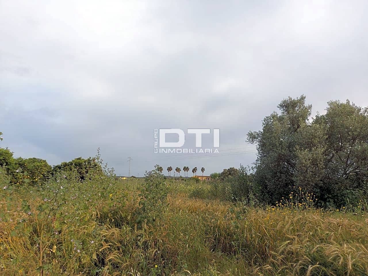 Ubebygd land til salgs i San Bartolome de la Torre - € 90 000 (Ref: 9394211)