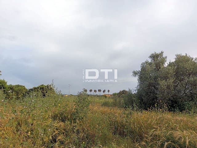 Teren niezagospodarowany na sprzedaż w San Bartolomé de la Torre - 90 000 € (Ref: 9394211)