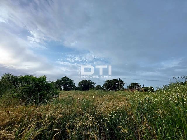 Teren niezagospodarowany na sprzedaż w San Bartolomé de la Torre - 90 000 € (Ref: 9394211)