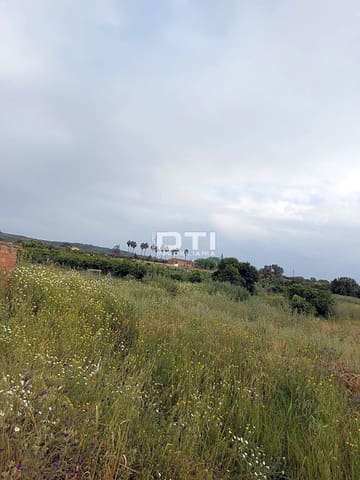 Teren niezagospodarowany na sprzedaż w San Bartolomé de la Torre - 90 000 € (Ref: 9394211)