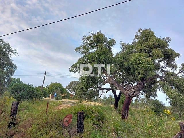 Teren niezagospodarowany na sprzedaż w San Bartolomé de la Torre - 90 000 € (Ref: 9394211)