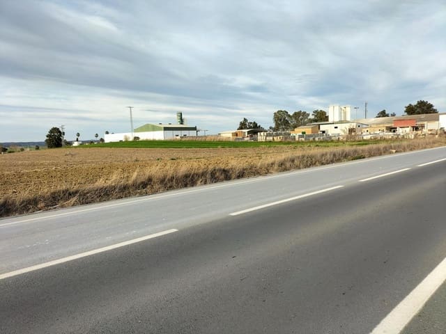 Terreno Non Edificato in vendita in La Palma del Condado - 49.000 € (Rif: 9394215)