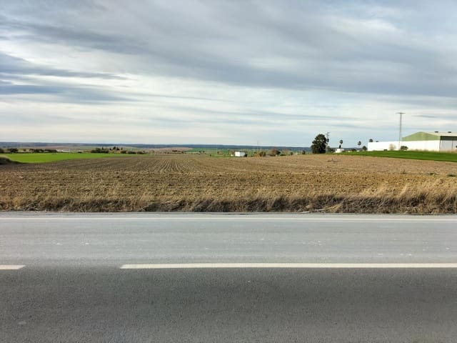 Terreno Non Edificato in vendita in La Palma del Condado - 49.000 € (Rif: 9394215)