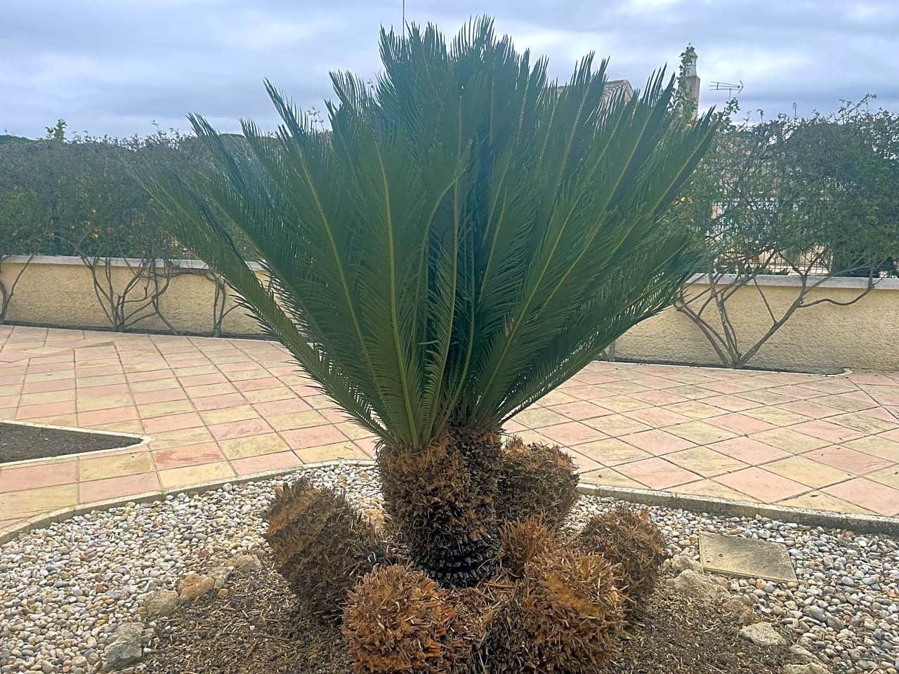 5 slaapkamer Villa te koop in Hinojos met zwembad garage - € 435.000 (Ref: 9394217)