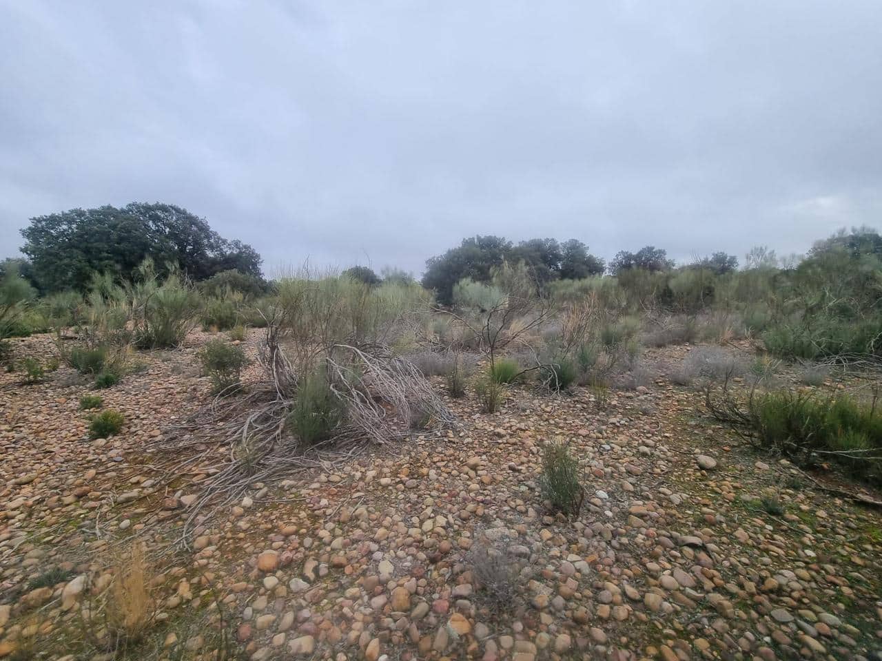 Finca/Casa Rural de 30 habitaciones en Munera en venta con piscina - 2.795.000 € (Ref: 9460648)