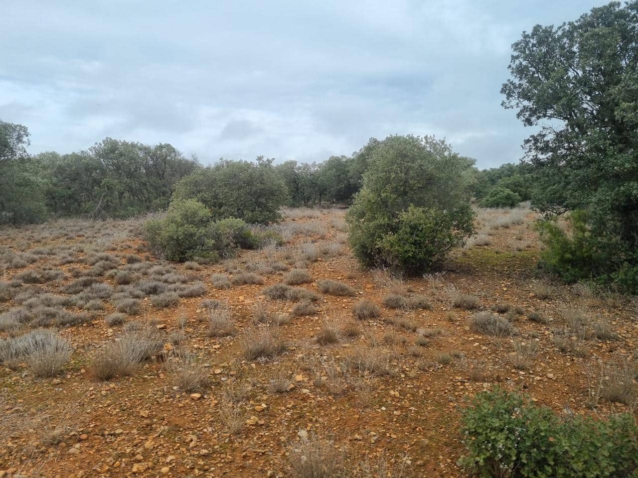 Finca/Casa Rural de 30 habitaciones en Munera en venta con piscina - 2.795.000 € (Ref: 9460648)