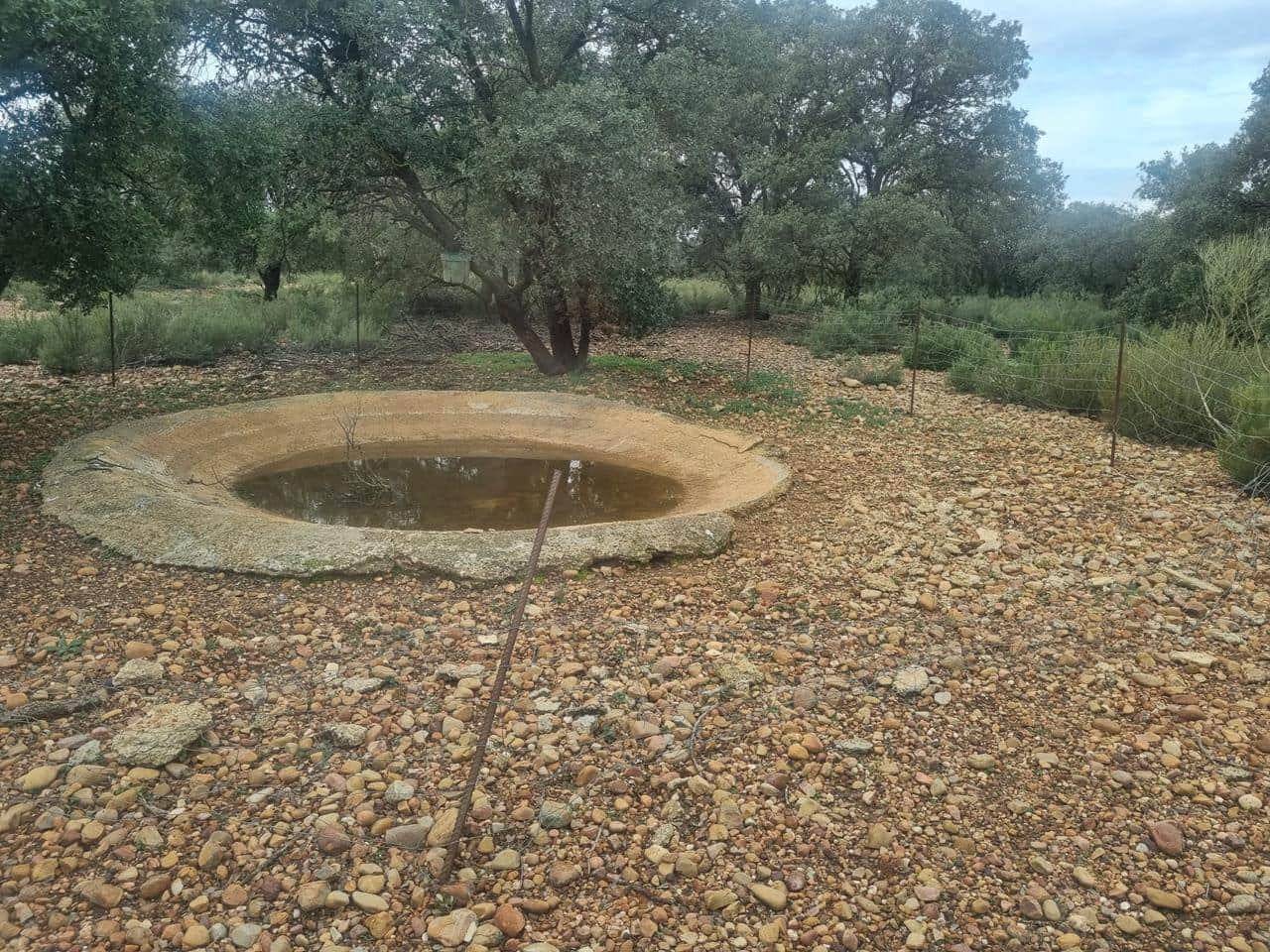 Finca/Casa Rural de 30 habitaciones en Munera en venta con piscina - 2.795.000 € (Ref: 9460648)