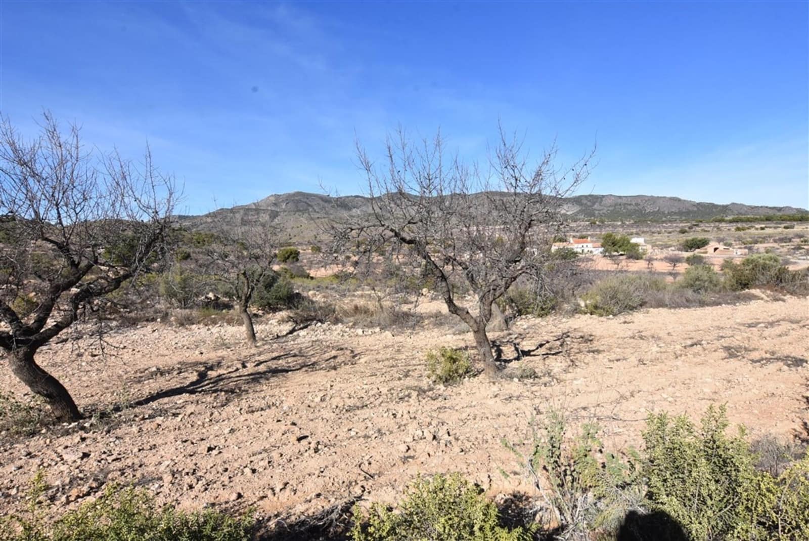 6 soveværelse Finca/Landehus til salg i La Murta - € 154.900 (Ref: 7479007)