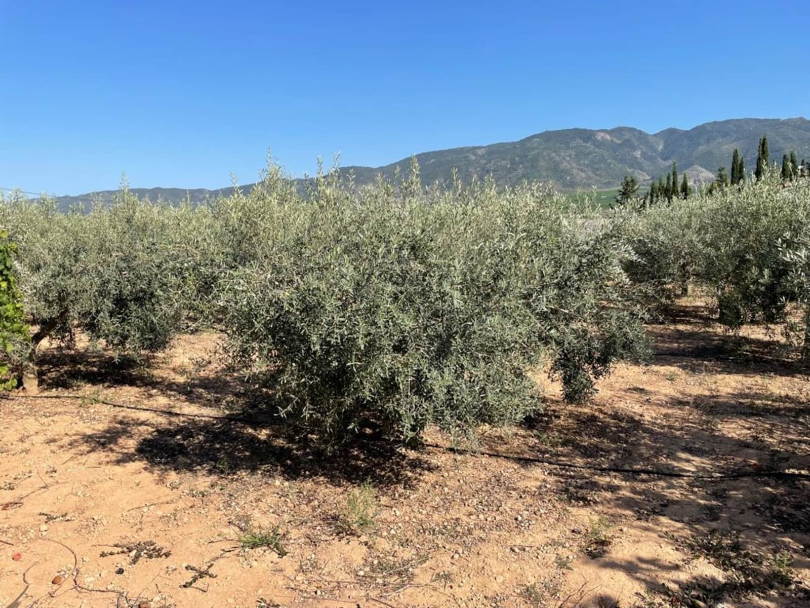 2 soveværelse Finca/Landehus til salg i Librilla med garage - € 149.000 (Ref: 7479028)