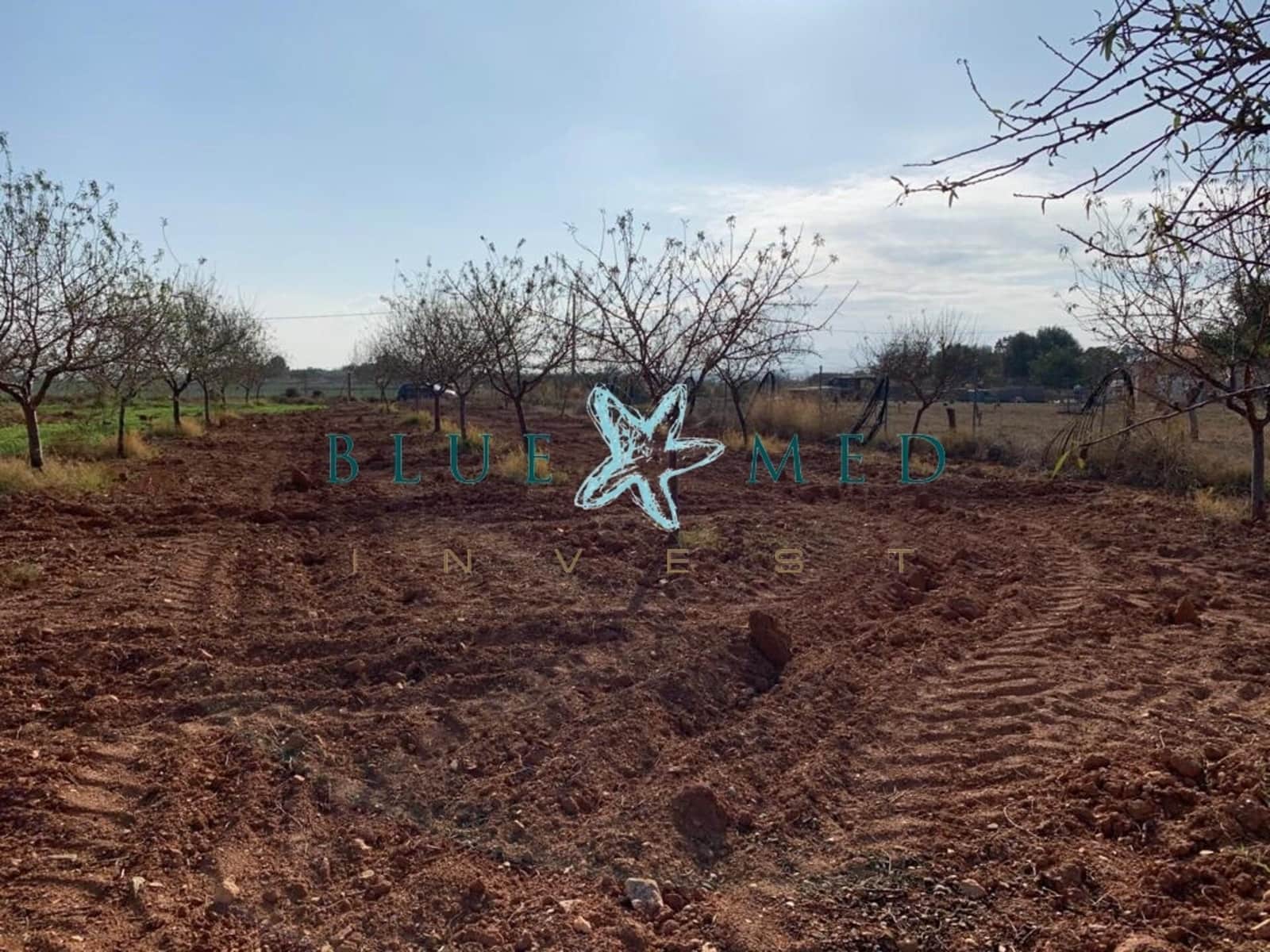 Mark till salu i La Magdalena - 31 000 € (Ref: 7493355)