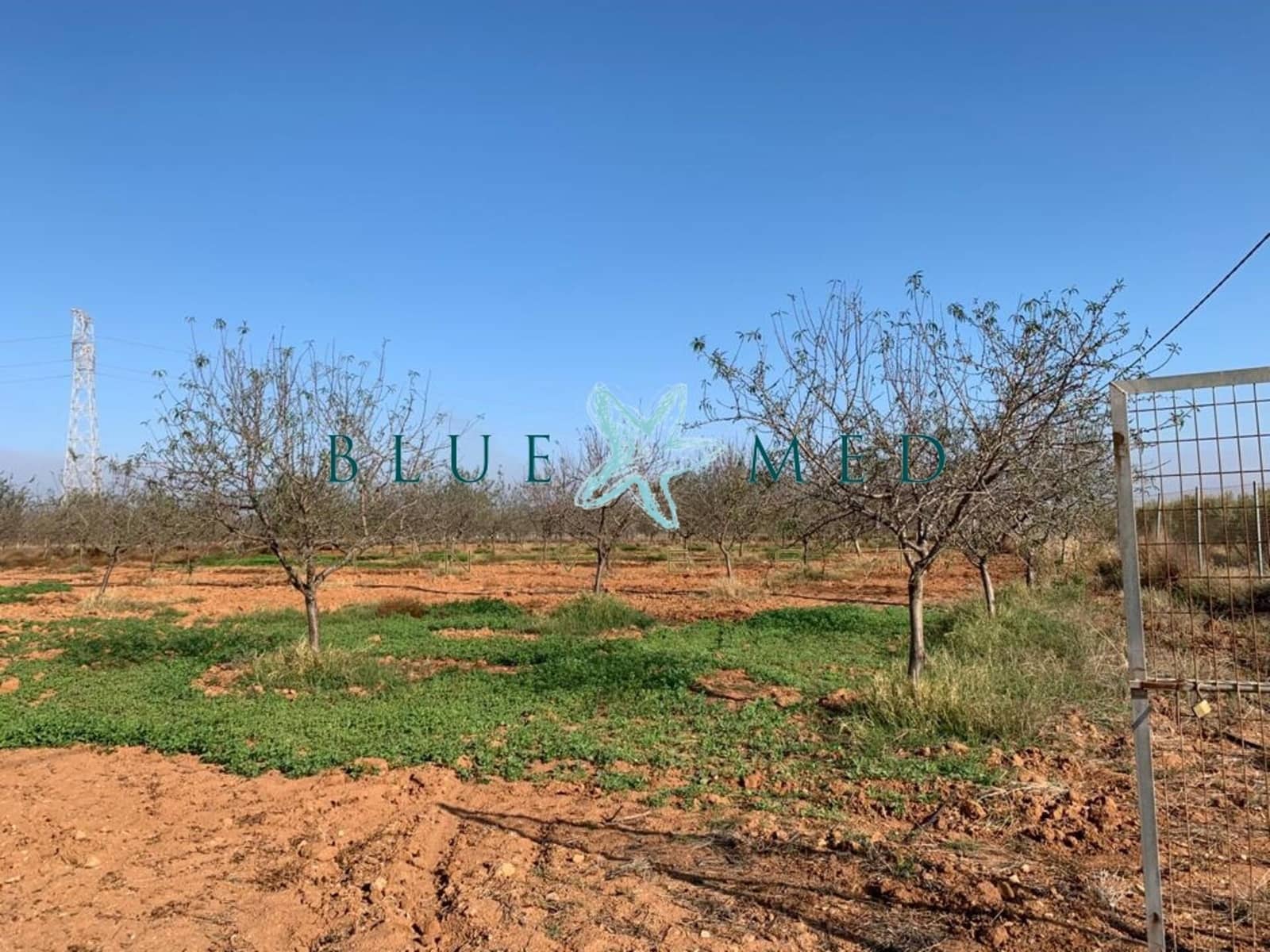 Mark till salu i La Magdalena - 31 000 € (Ref: 7493355)