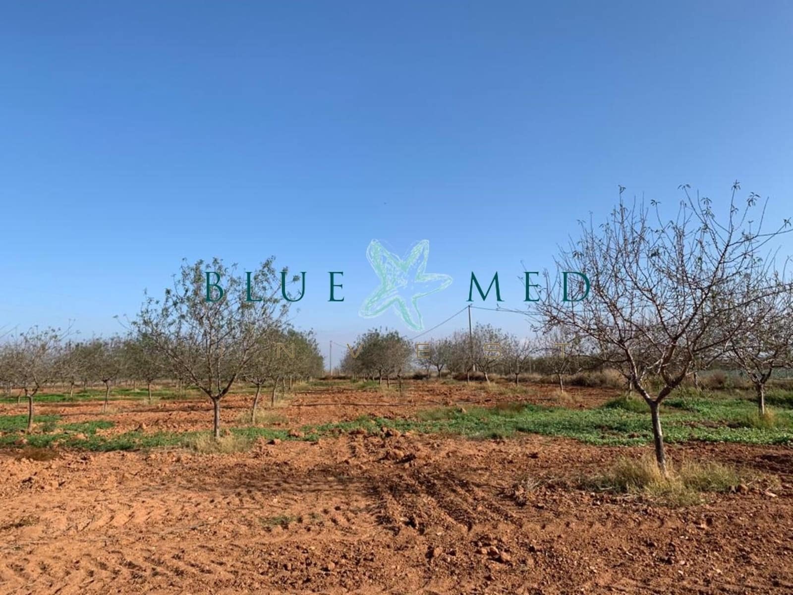 Mark till salu i La Magdalena - 31 000 € (Ref: 7493355)