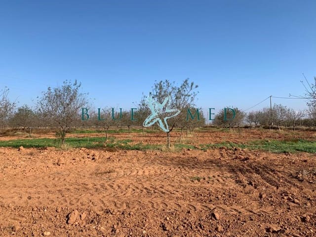 Mark till salu i La Magdalena, Cartagena - 31 000 € (Ref: 7493355)