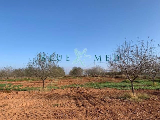 Mark till salu i La Magdalena, Cartagena - 31 000 € (Ref: 7493355)