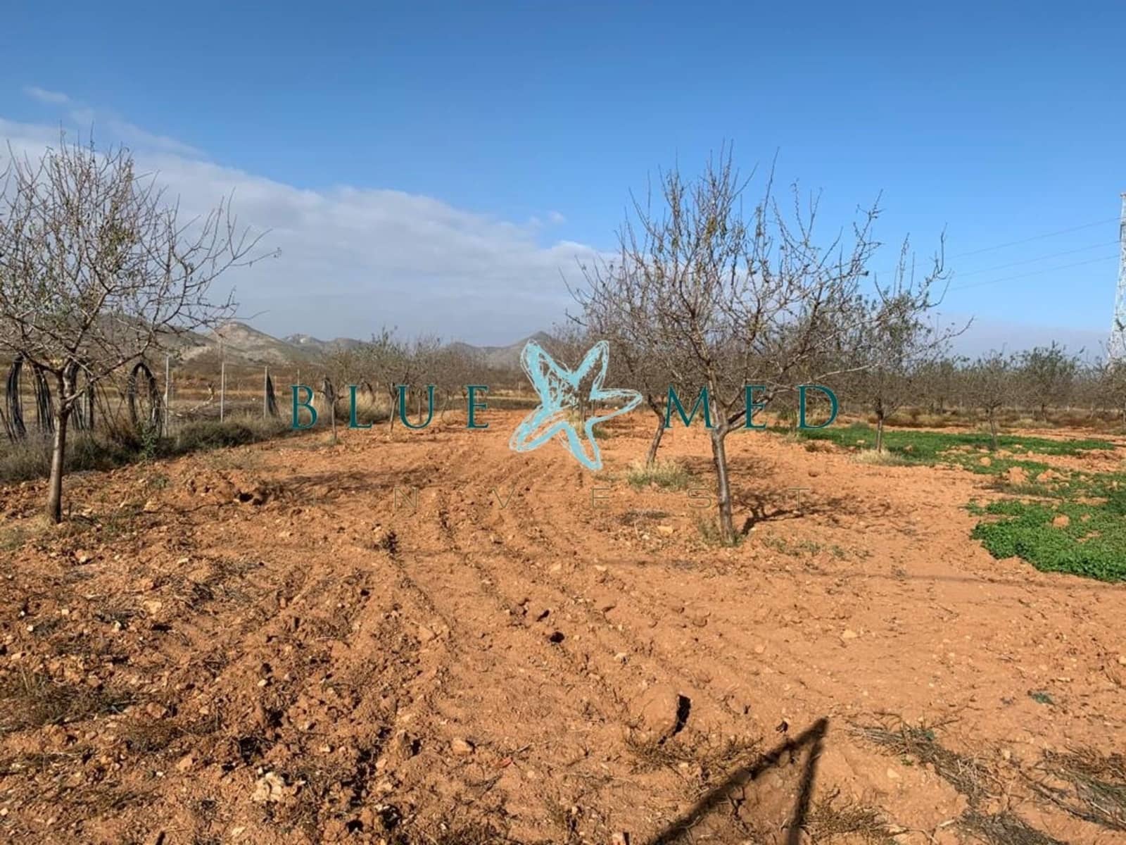 Mark till salu i La Magdalena - 31 000 € (Ref: 7493355)