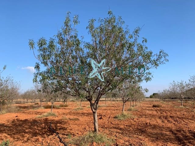 Mark till salu i La Magdalena, Cartagena - 31 000 € (Ref: 7493355)