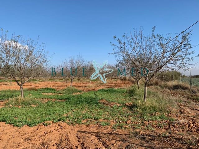 Mark till salu i La Magdalena, Cartagena - 31 000 € (Ref: 7493355)