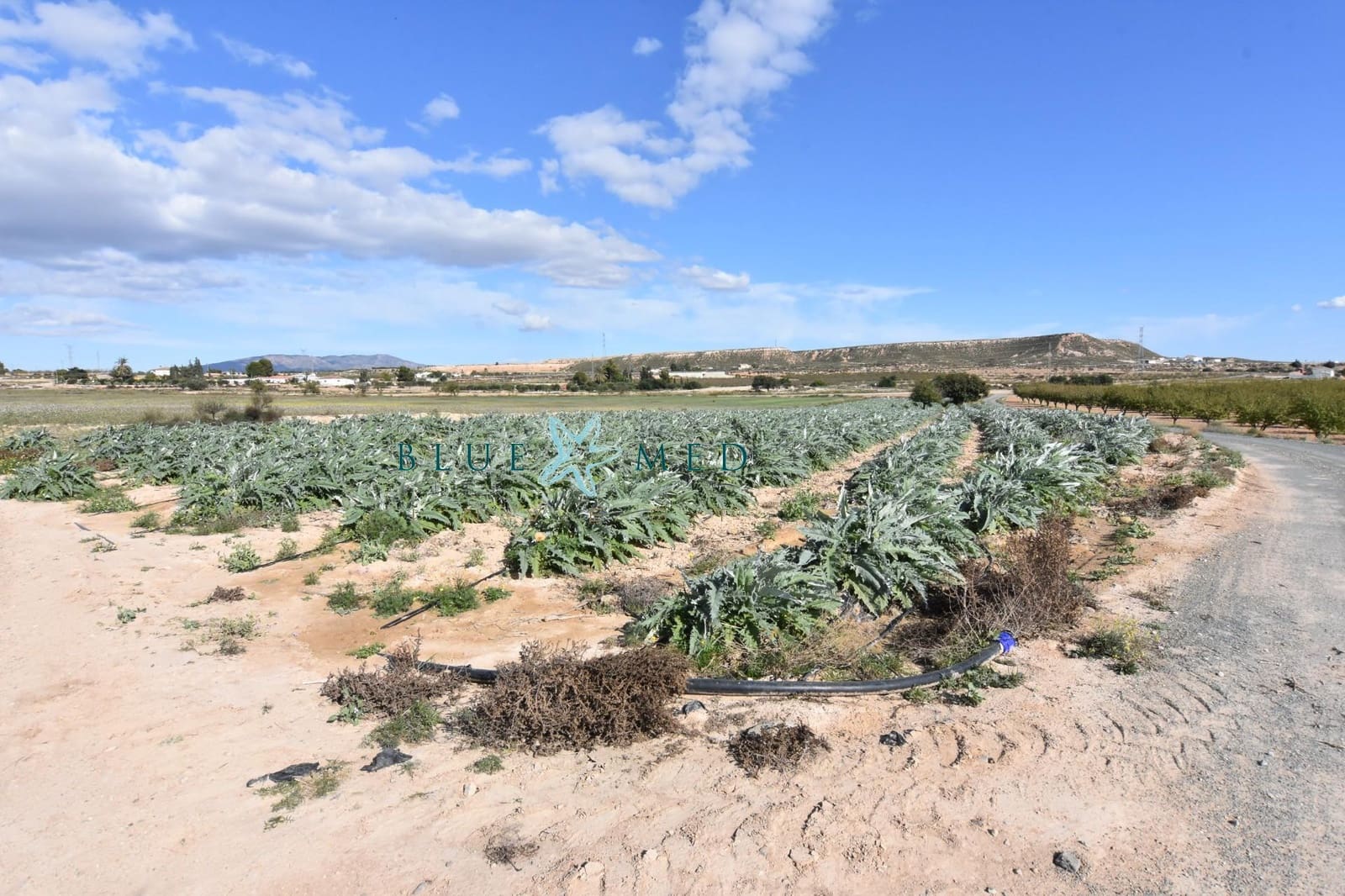 8 soveværelse Finca/Landehus til salg i Mazarron med garage - € 499.995 (Ref: 7502508)