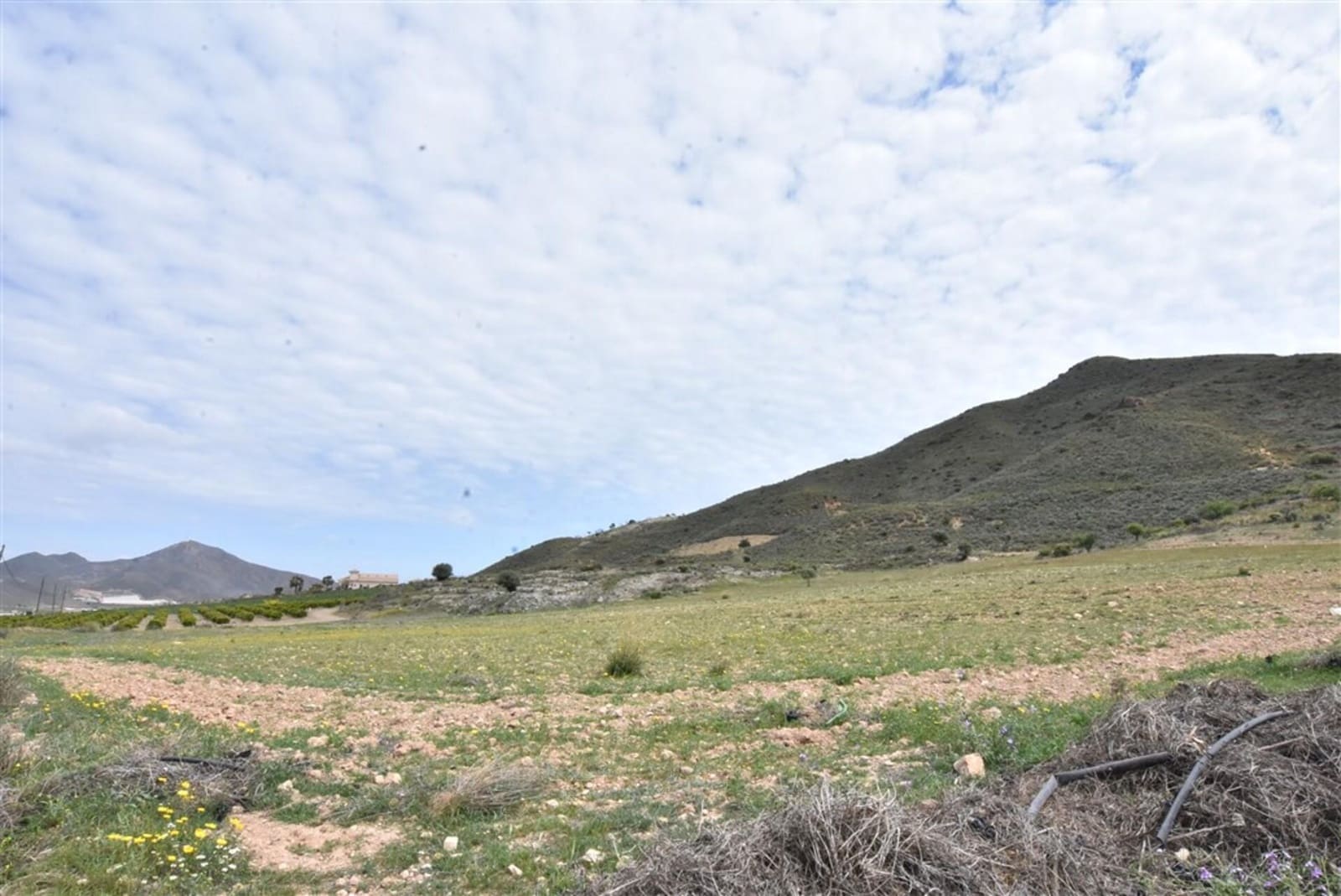 Grond te koop in Morata - € 55.000 (Ref: 7502520)