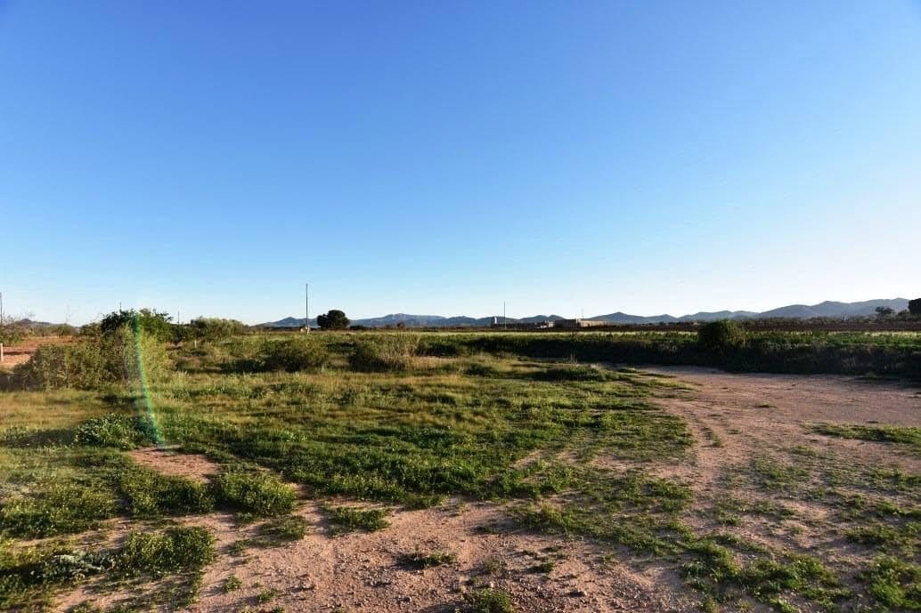 6 chambre Finca/Maison de Campagne à vendre à Las Palas avec garage - 144 995 € (Ref: 7502549)