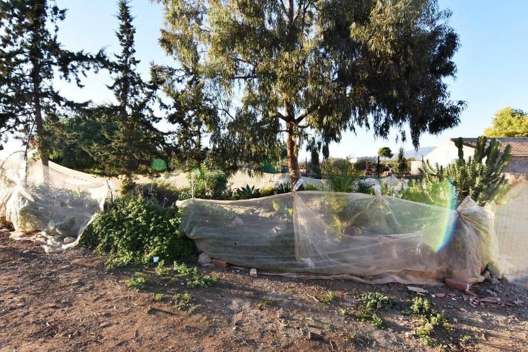 6 chambre Finca/Maison de Campagne à vendre à Las Palas avec garage - 144 995 € (Ref: 7502549)