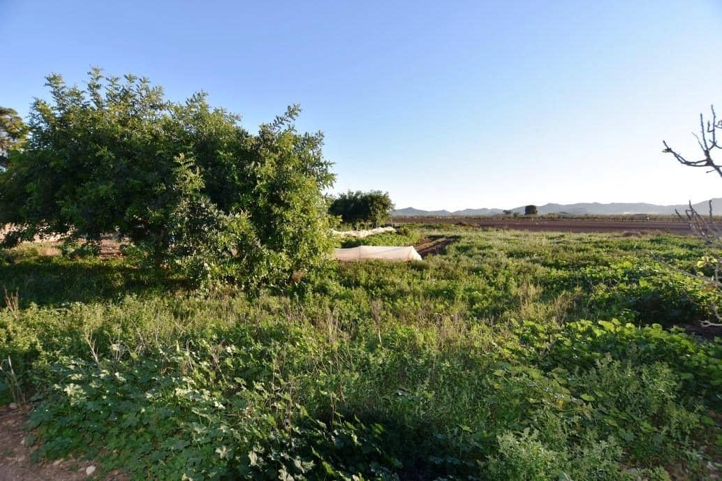 6 chambre Finca/Maison de Campagne à vendre à Las Palas avec garage - 144 995 € (Ref: 7502549)