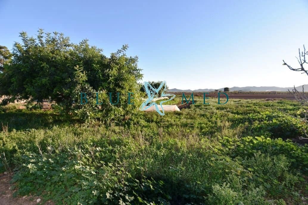 6 chambre Finca/Maison de Campagne à vendre à Las Palas avec garage - 144 995 € (Ref: 7502549)