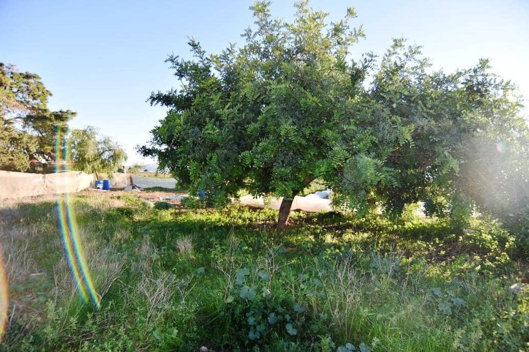 6 chambre Finca/Maison de Campagne à vendre à Las Palas avec garage - 144 995 € (Ref: 7502549)