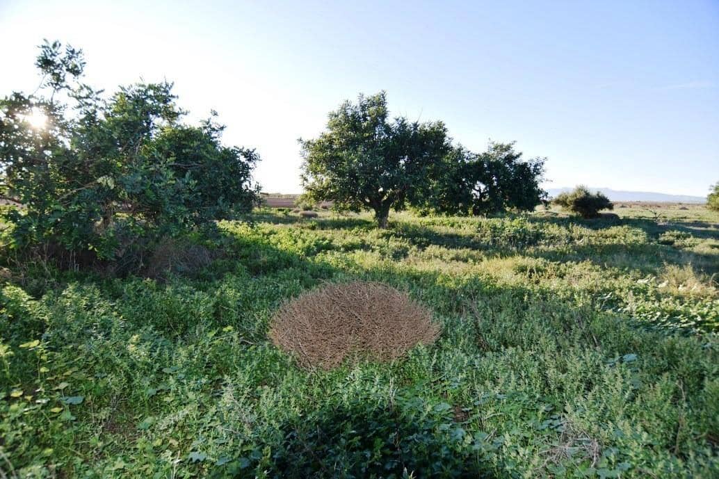 6 chambre Finca/Maison de Campagne à vendre à Las Palas avec garage - 144 995 € (Ref: 7502549)