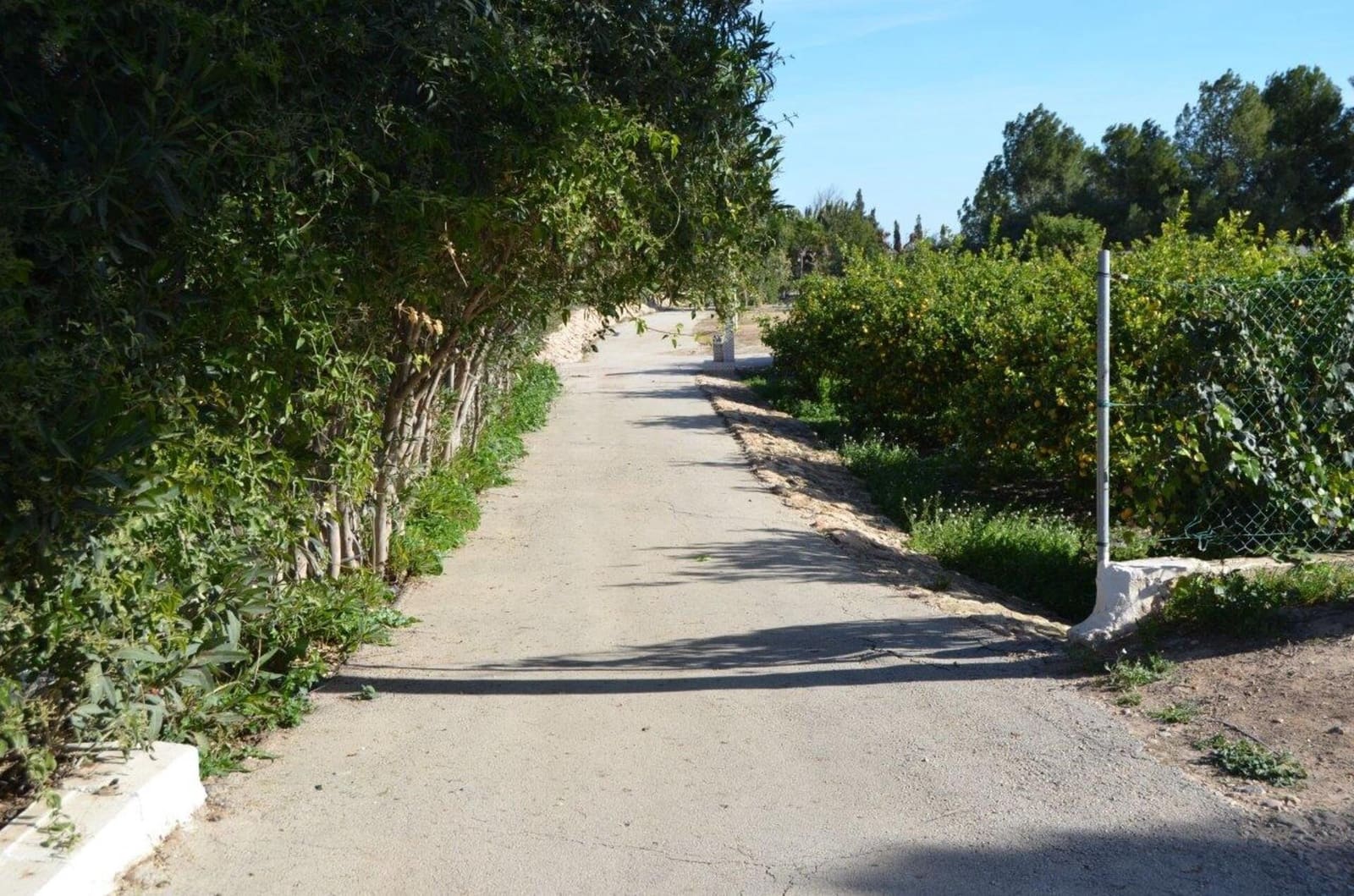 4 camera da letto Finca/Casa di Campagna in vendita in Avileses con garage - 529.000 € (Rif: 7696383)