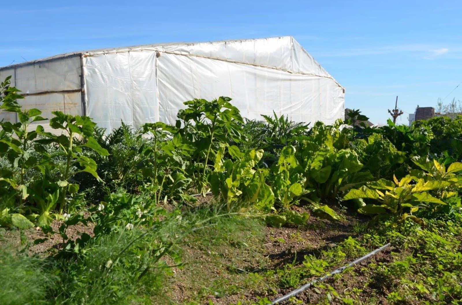 4 camera da letto Finca/Casa di Campagna in vendita in Avileses con garage - 529.000 € (Rif: 7696383)