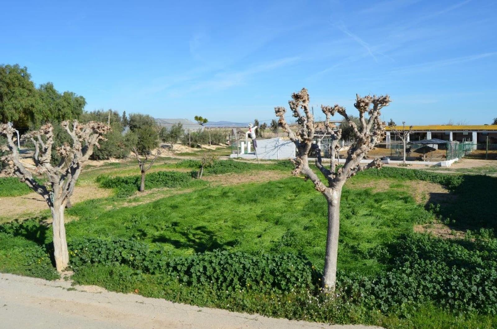 4 camera da letto Finca/Casa di Campagna in vendita in Avileses con garage - 529.000 € (Rif: 7696383)