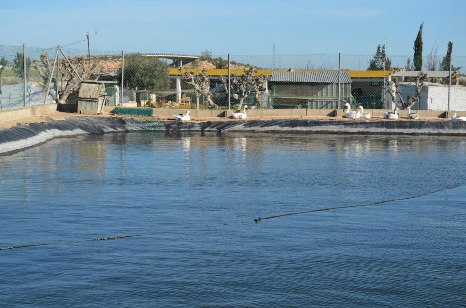 4 slaapkamer Finca/Landhuis te koop in Murcia stad met garage - € 429.000 (Ref: 7696383)