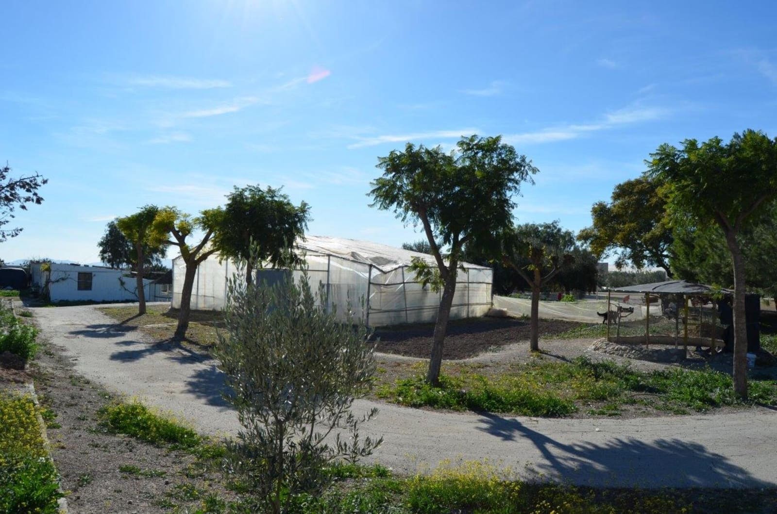 4 slaapkamer Finca/Landhuis te koop in Murcia stad met garage - € 429.000 (Ref: 7696383)