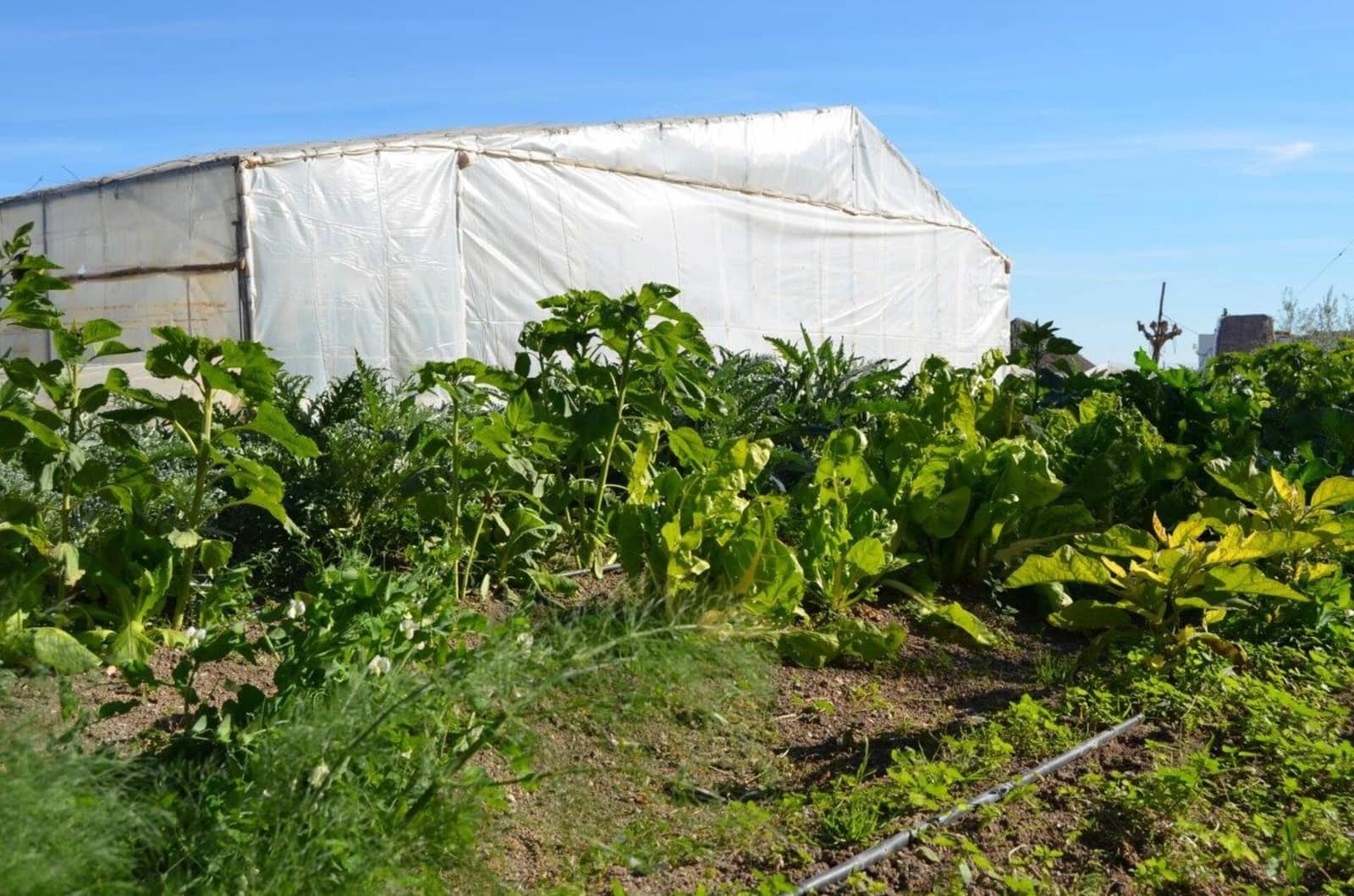 4 slaapkamer Finca/Landhuis te koop in Murcia stad met garage - € 429.000 (Ref: 7696383)