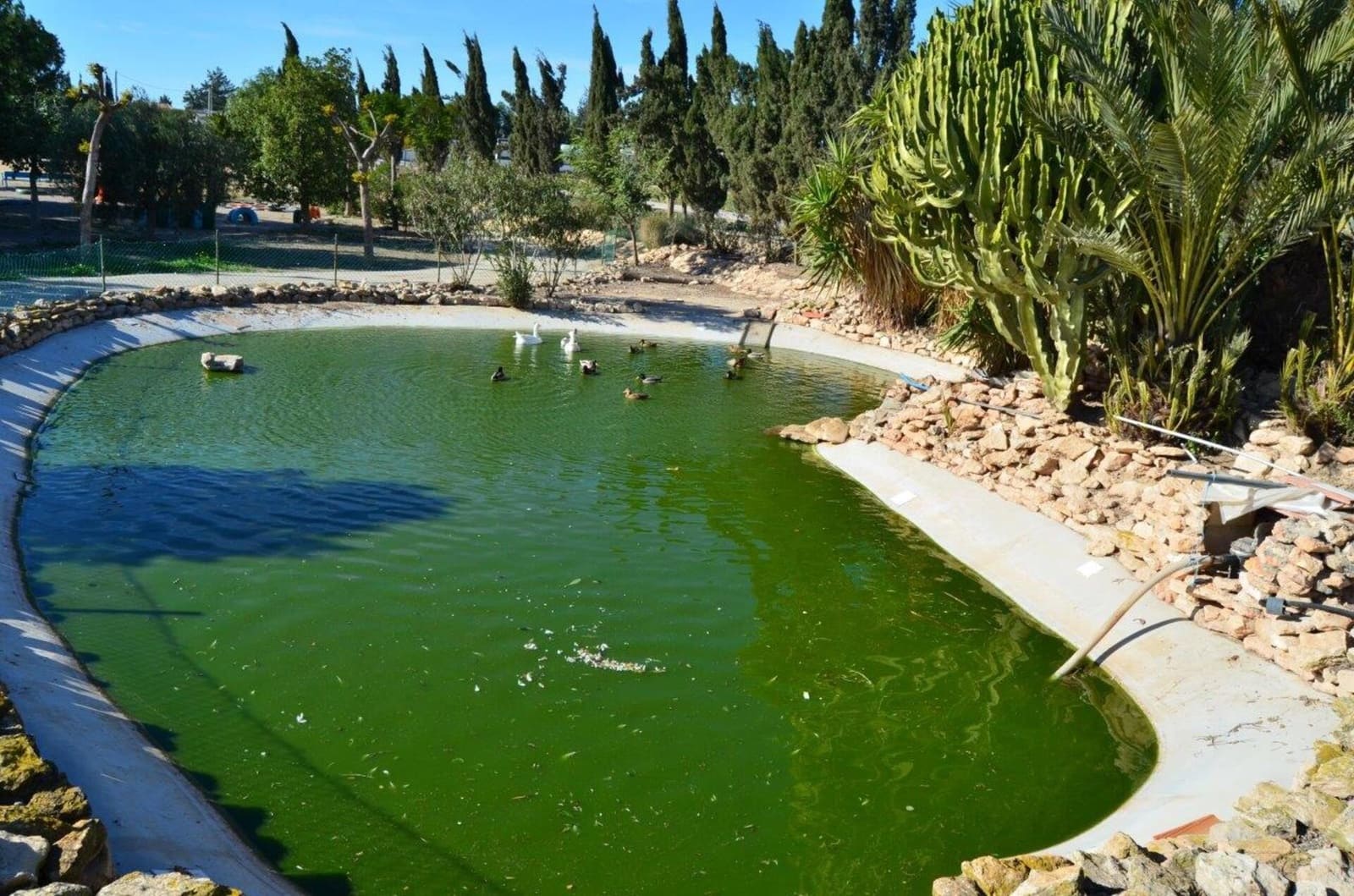 4 slaapkamer Finca/Landhuis te koop in Murcia stad met garage - € 429.000 (Ref: 7696383)