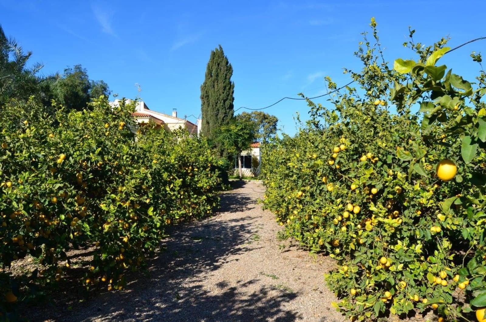 4 slaapkamer Finca/Landhuis te koop in Murcia stad met garage - € 429.000 (Ref: 7696383)