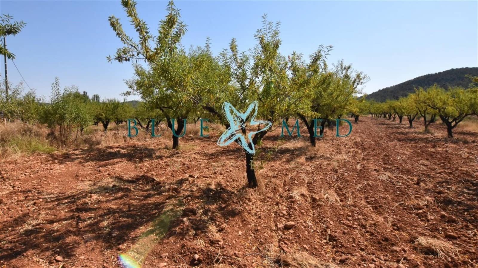 2 soveværelse Finca/Landehus til salg i Bullas - € 299.000 (Ref: 7696409)