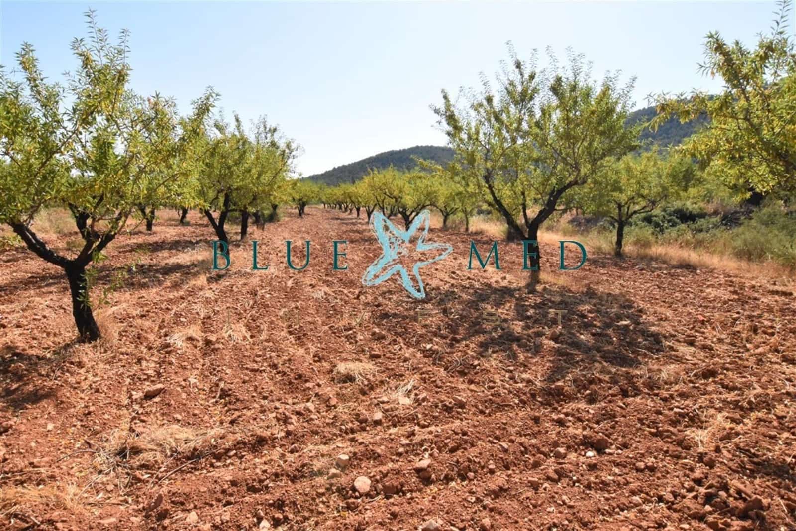 2 soveværelse Finca/Landehus til salg i Bullas - € 299.000 (Ref: 7696409)