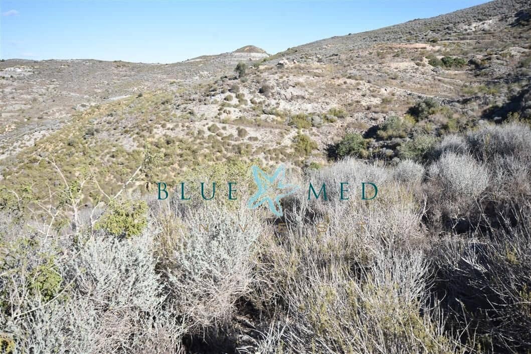 Terreno Não Urbanizado para venda em Tallante - 44 900 € (Ref: 7855915)