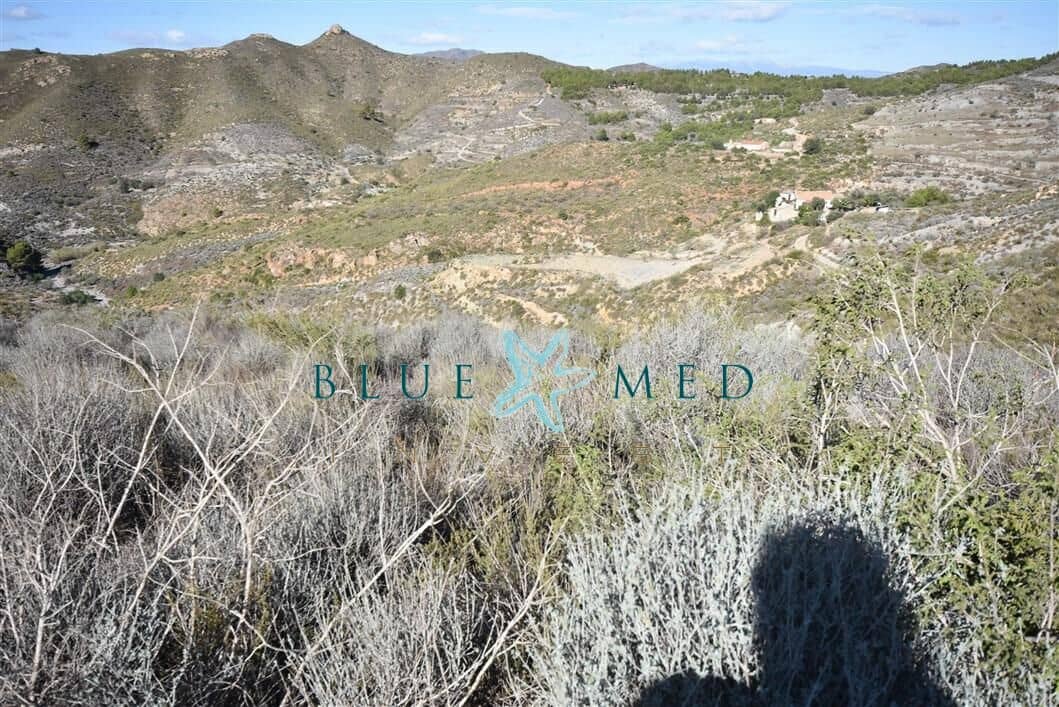 Terreno Não Urbanizado para venda em Tallante - 44 900 € (Ref: 7855915)