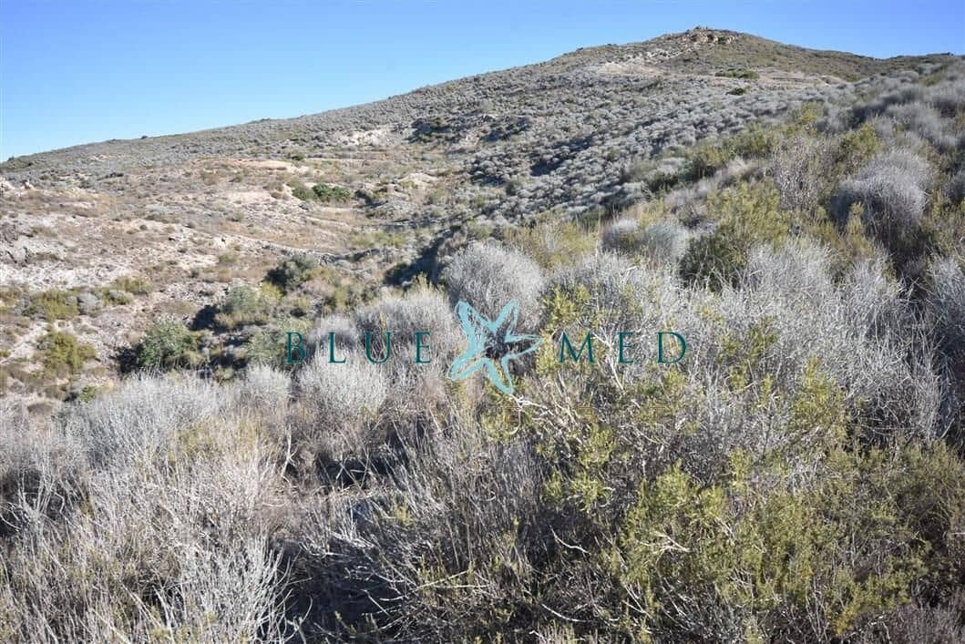 Terreno Não Urbanizado para venda em Tallante - 44 900 € (Ref: 7855915)