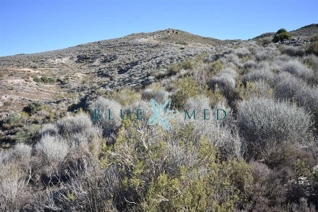 Terreno Não Urbanizado para venda em Tallante - 44 900 € (Ref: 7855915)