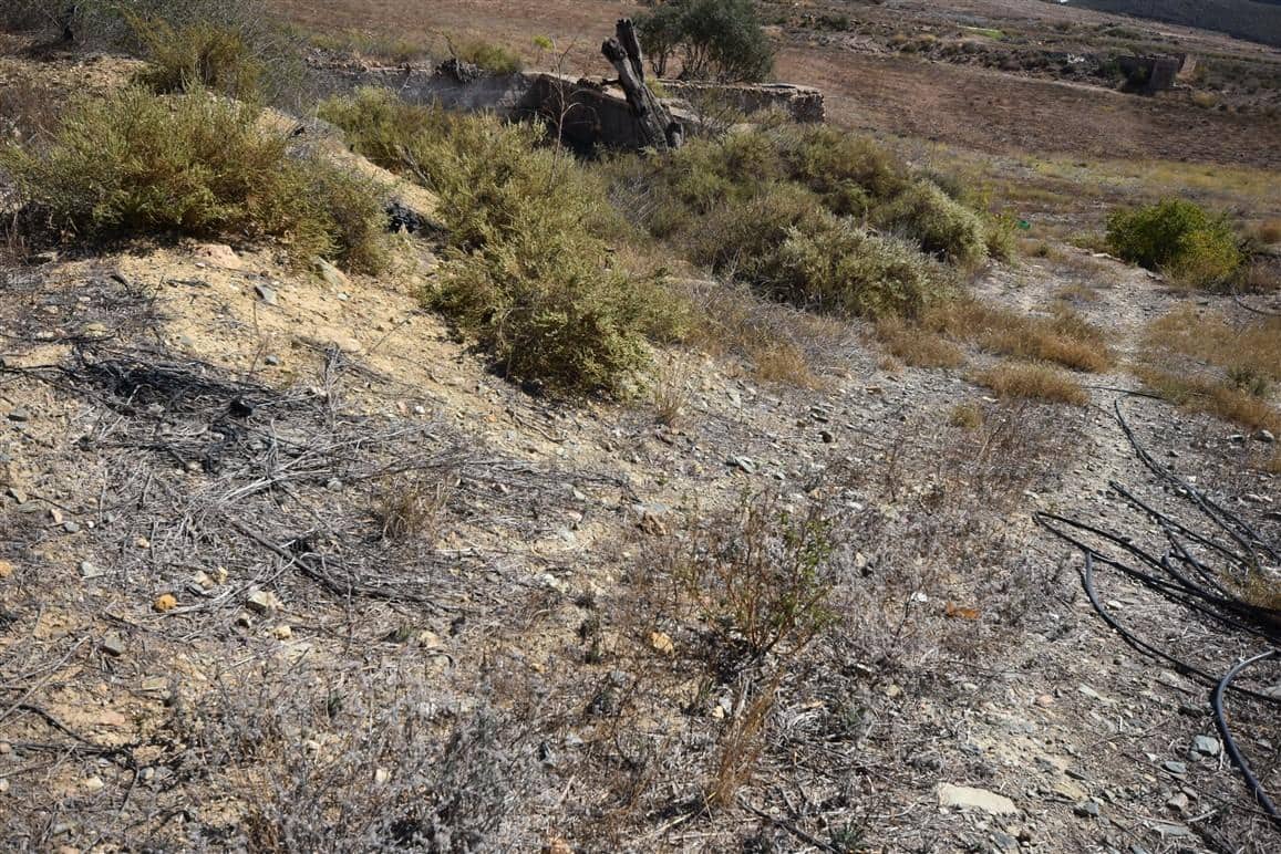 Undeveloped Land for sale in Morata - € 149,995 (Ref: 7904805)